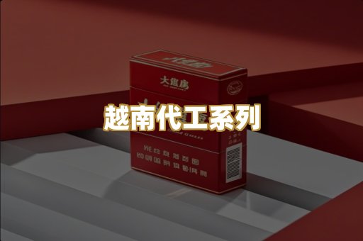 越南代工系列